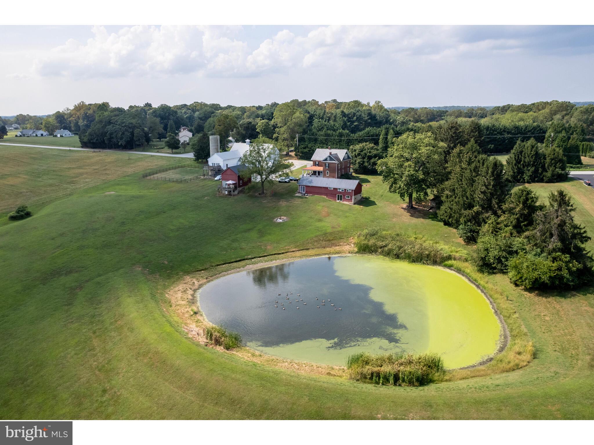 NONE AVAILABLE - Farm