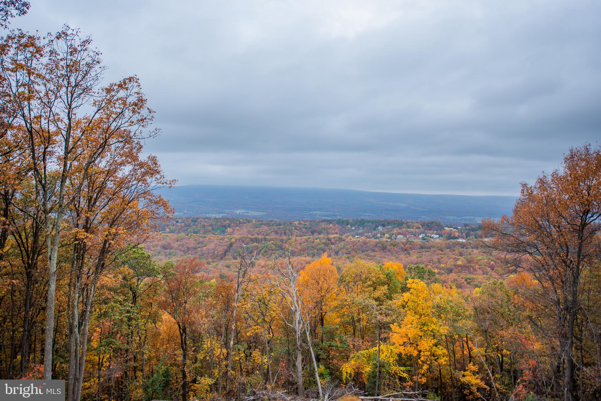 ROUND TOP ESTATES - Residential