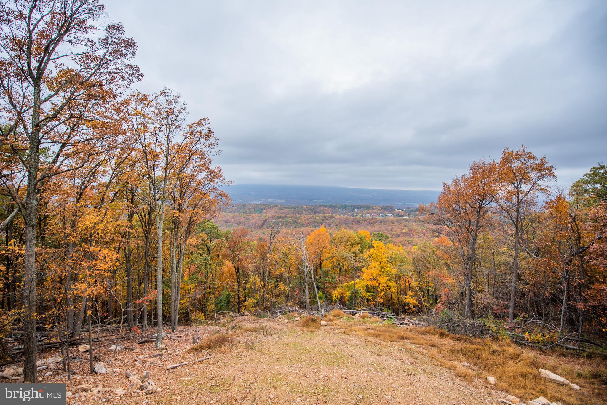 ROUND TOP ESTATES - Residential
