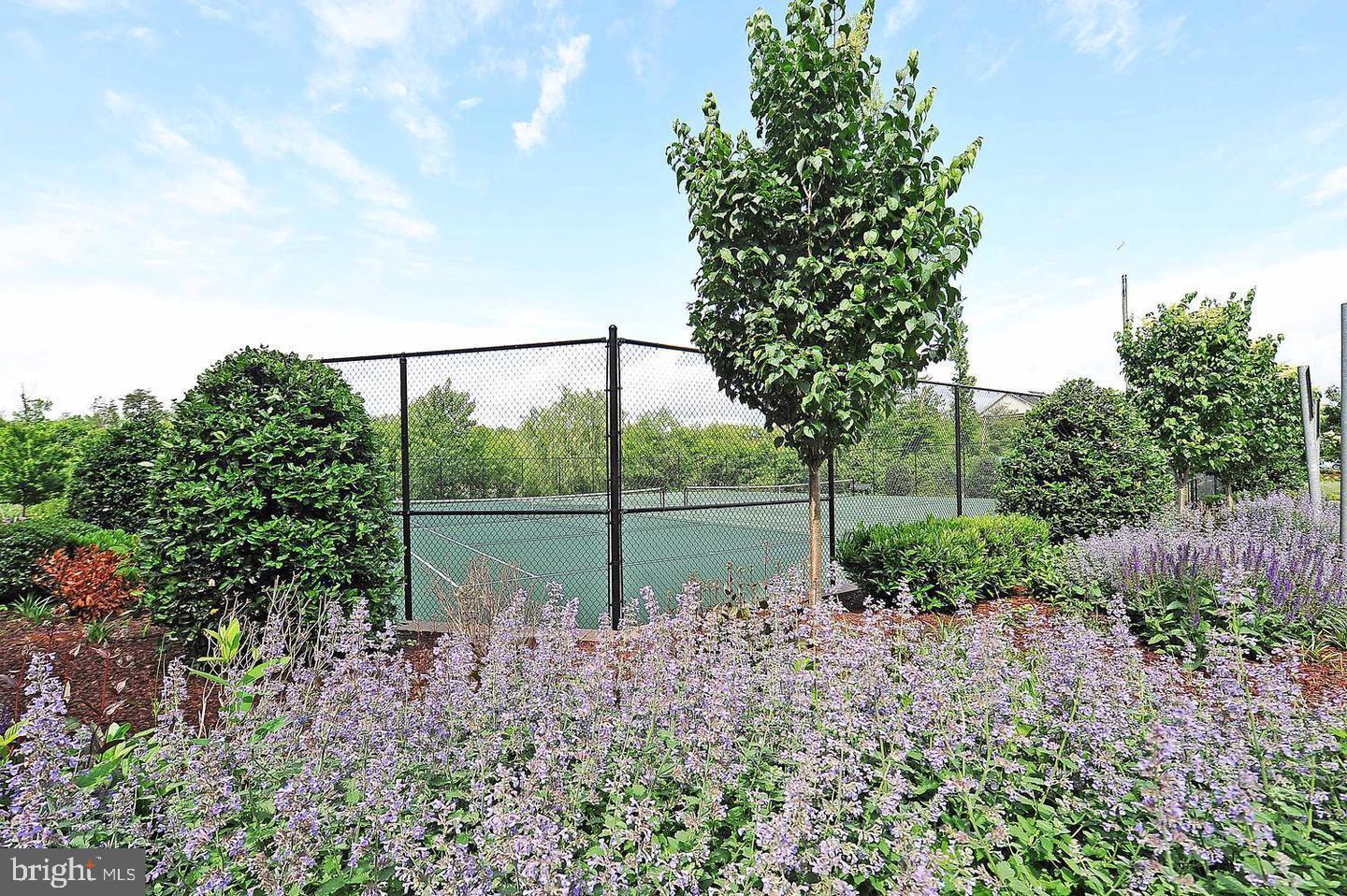 BELMONT BAY - Residential