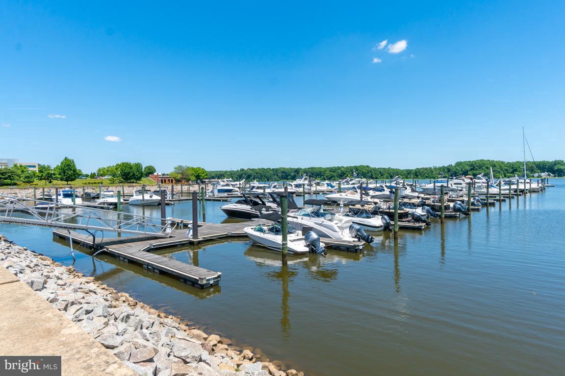 BELMONT BAY - Residential