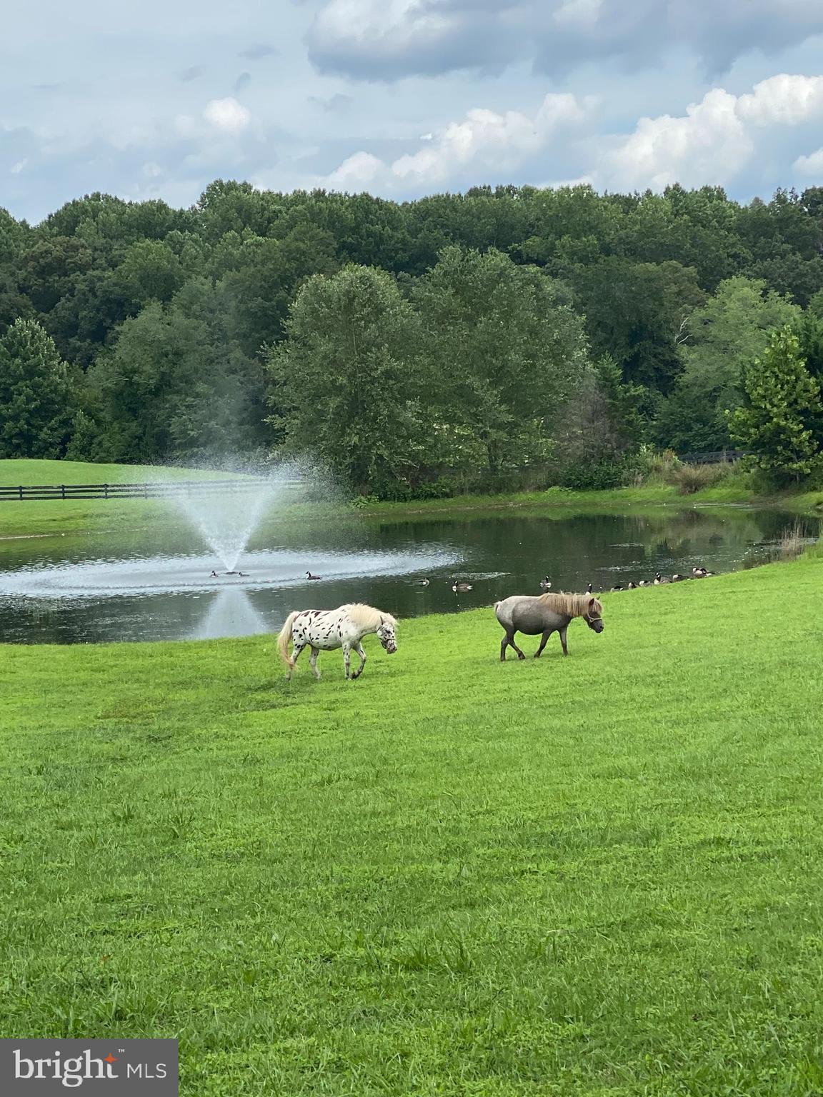 MAPLE HILL'S AFFLUENT - Residential