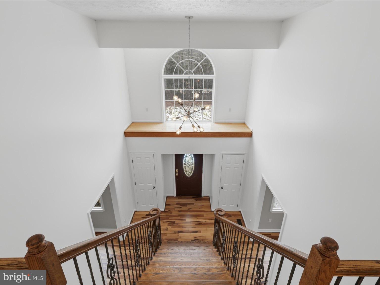 AMSONIA - Residential