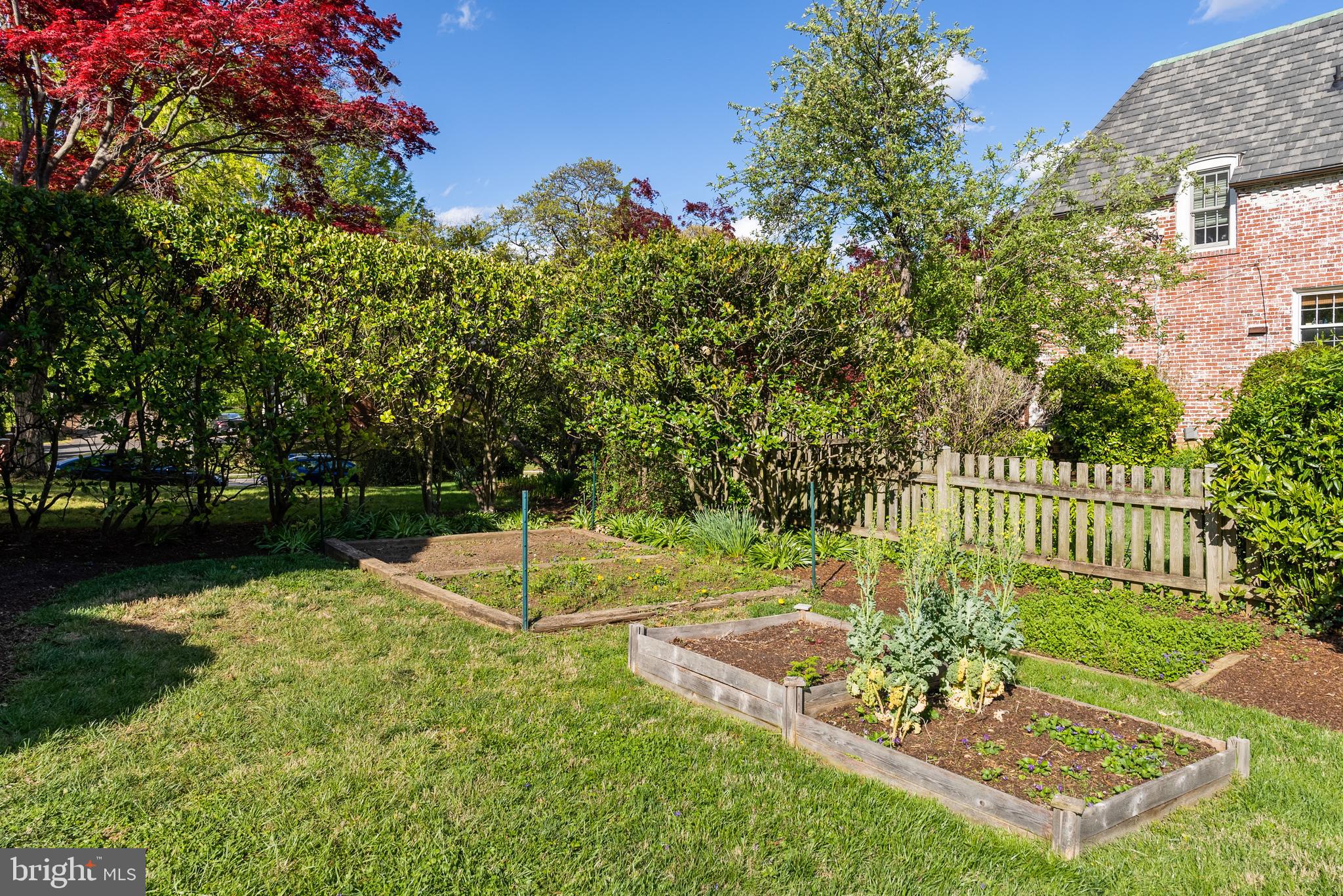 COLLEGE PARK - Residential