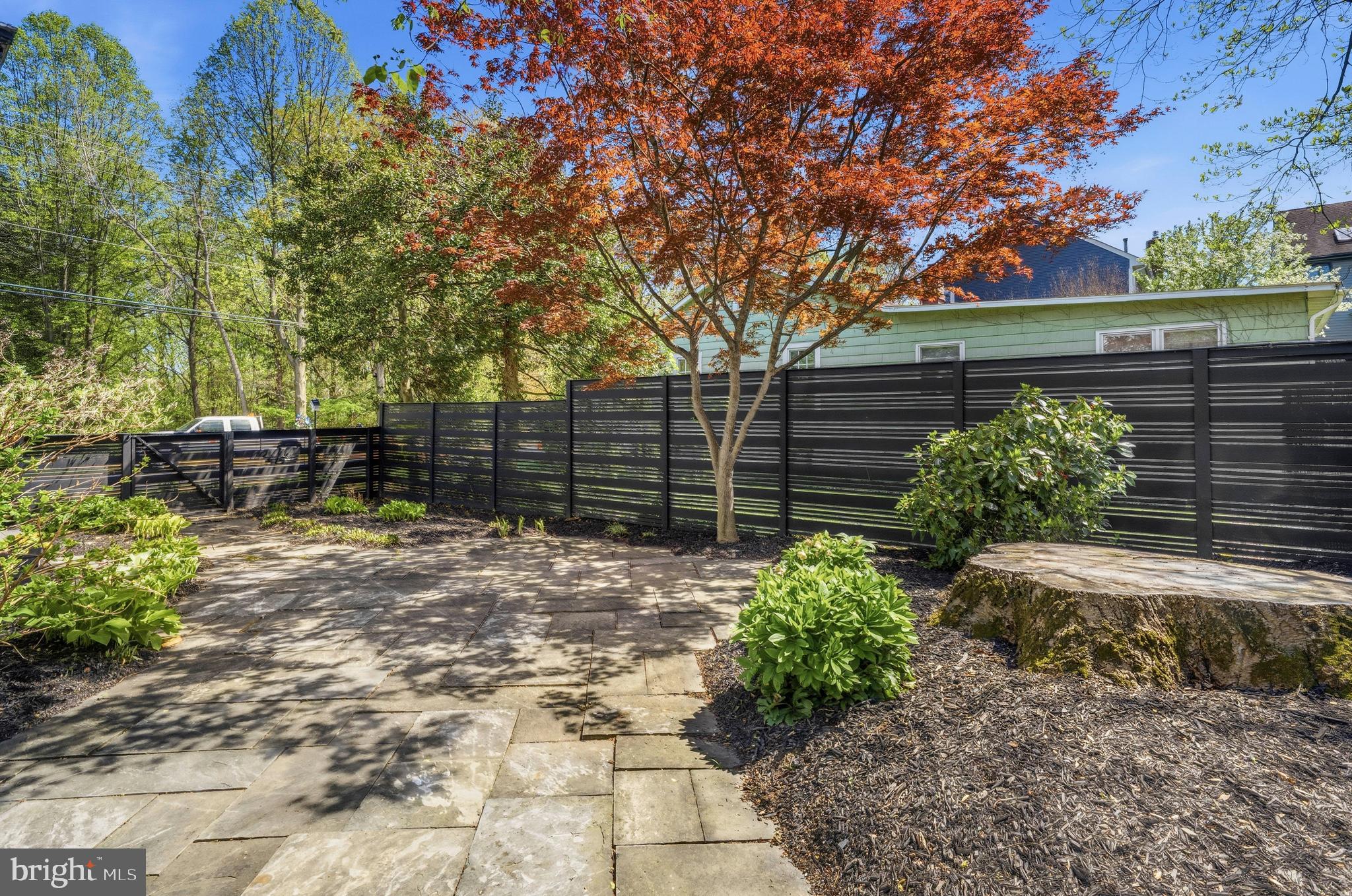 LACEY FOREST - Residential