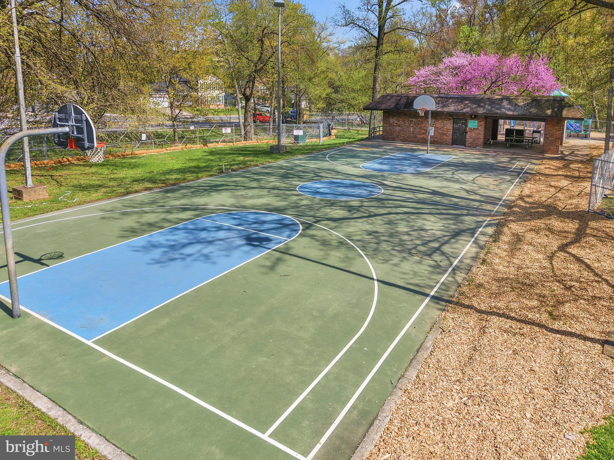 LACEY FOREST - Residential
