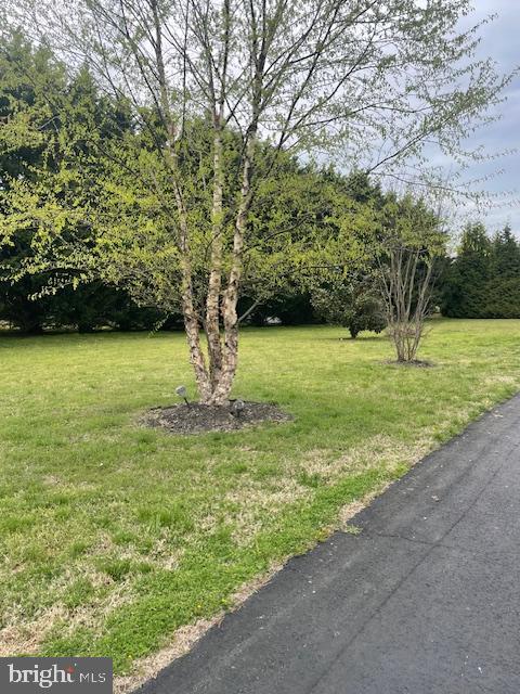 LOGANS RUN - Residential