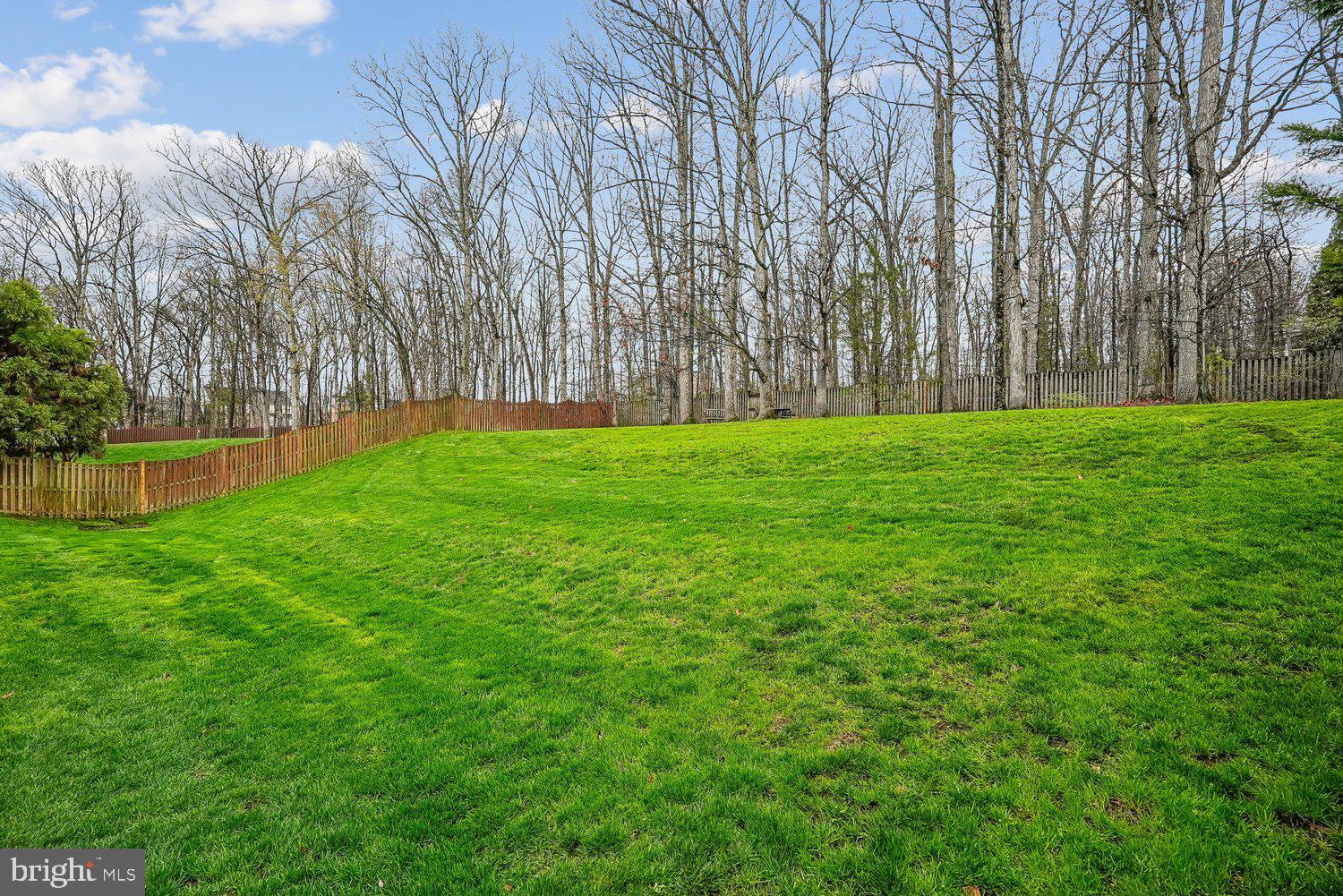 ESTATES OF FOREST RIDGE - Residential