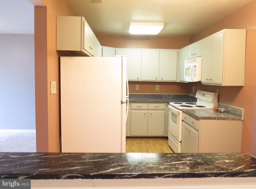 Move in ready! Well maintained, terrace level condo with secure entry adjacent to the community park with picnic tables and grills. Home features Updated Kitchen and Bathroom Cabinets, Master Bedroom with walk in closet and full bath, living dining room combo, eat in kitchen and walk out to private patio. Newer washer/dryer, stove, microwave and hot water heater. Plenty of parking. Sold As-Is