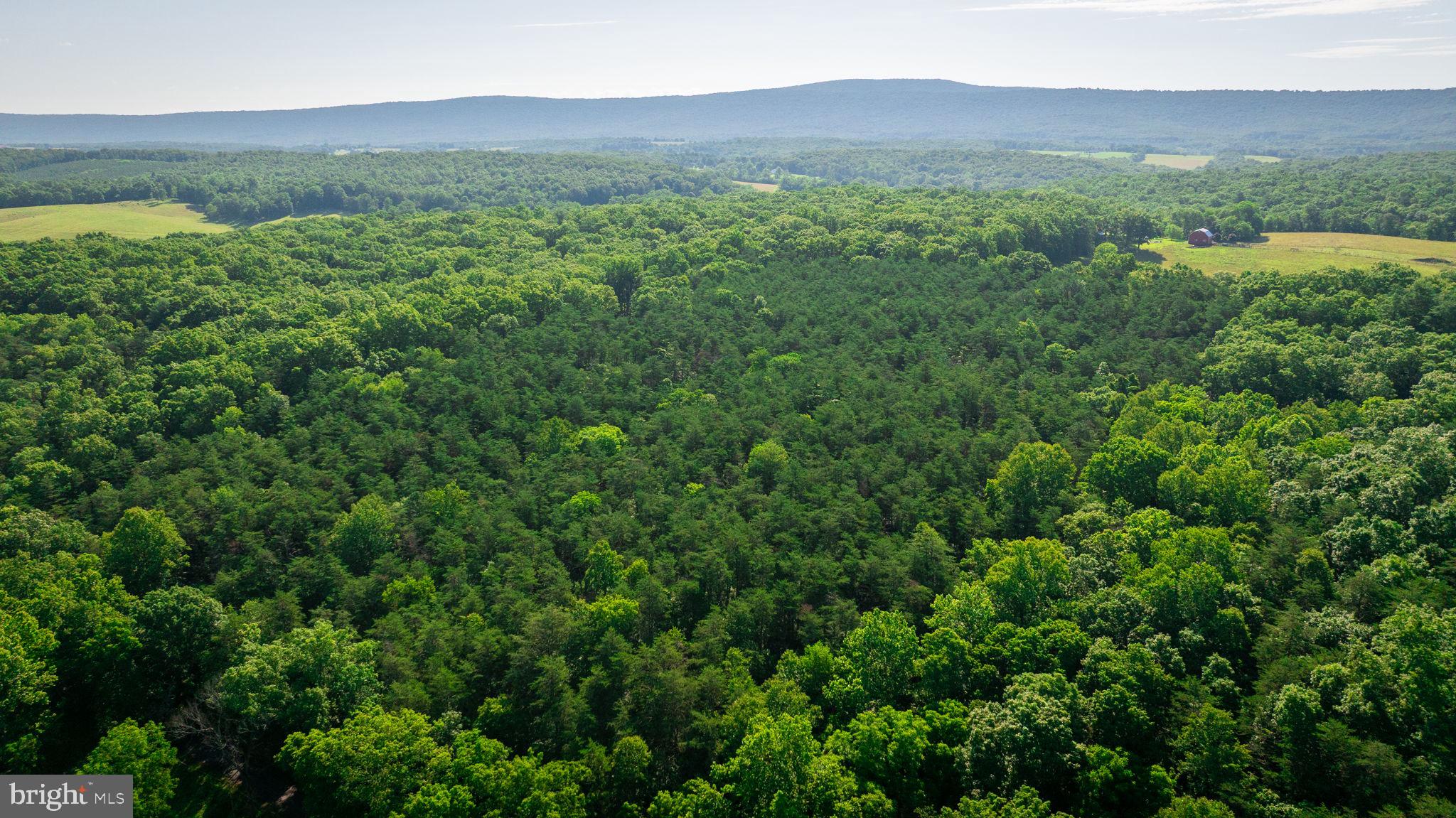 NONE AVAILABLE - Land