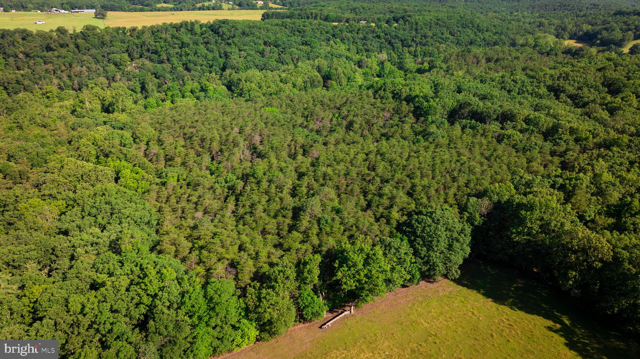 NONE AVAILABLE - Land