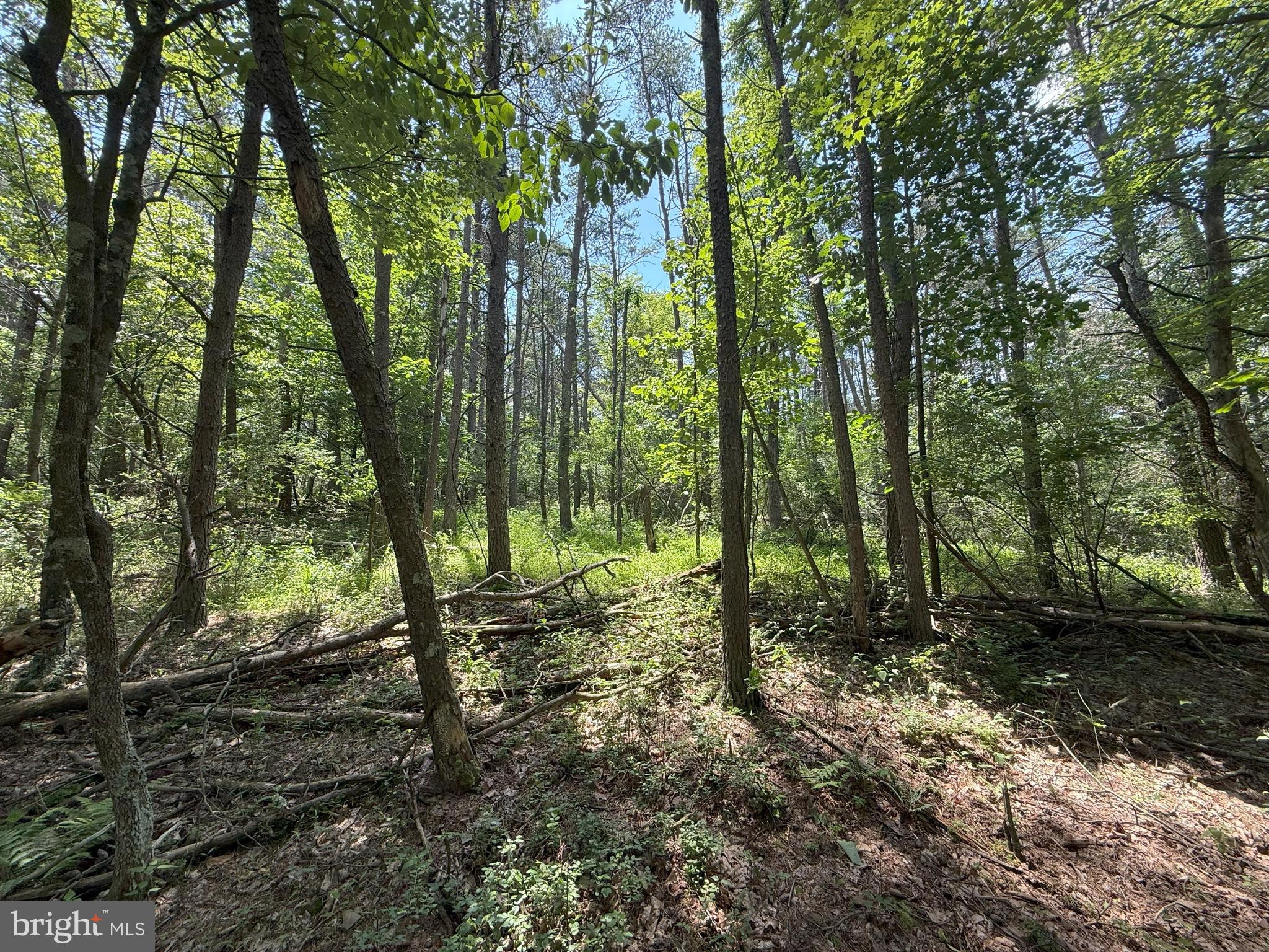 NONE AVAILABLE - Land