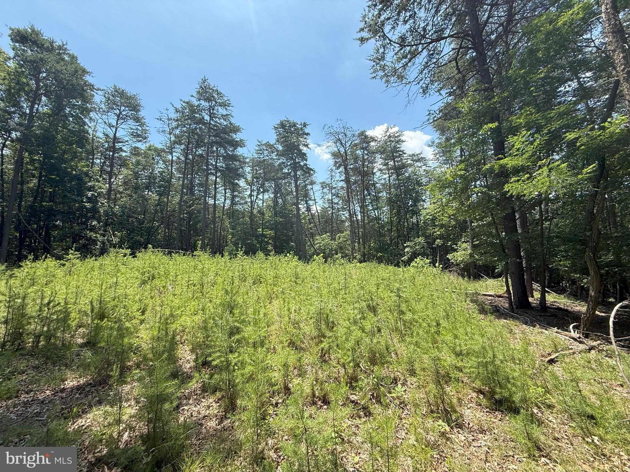 NONE AVAILABLE - Land