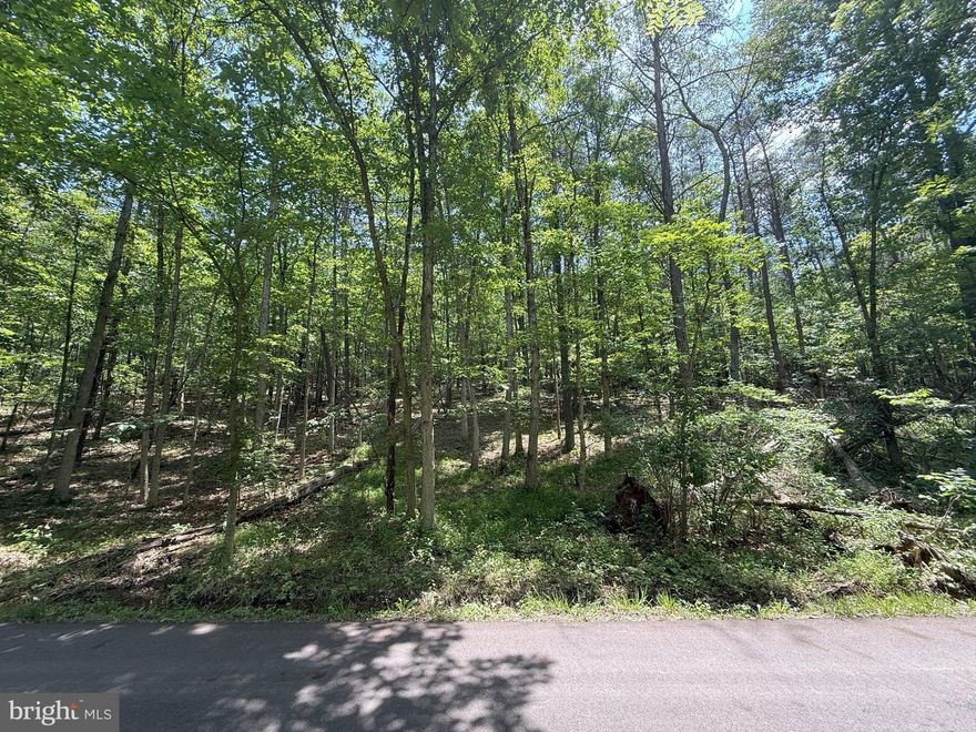 14.5 acres of wooded unrestricted land  in southern Morgan County, just a short 30-minute drive from Winchester, VA. Whether you're planning to build your dream home, private hunting spot, or just enjoy a peaceful retreat.  Located off of a state-maintained road. Enjoy the quiet of the woods while staying close to everything you need.