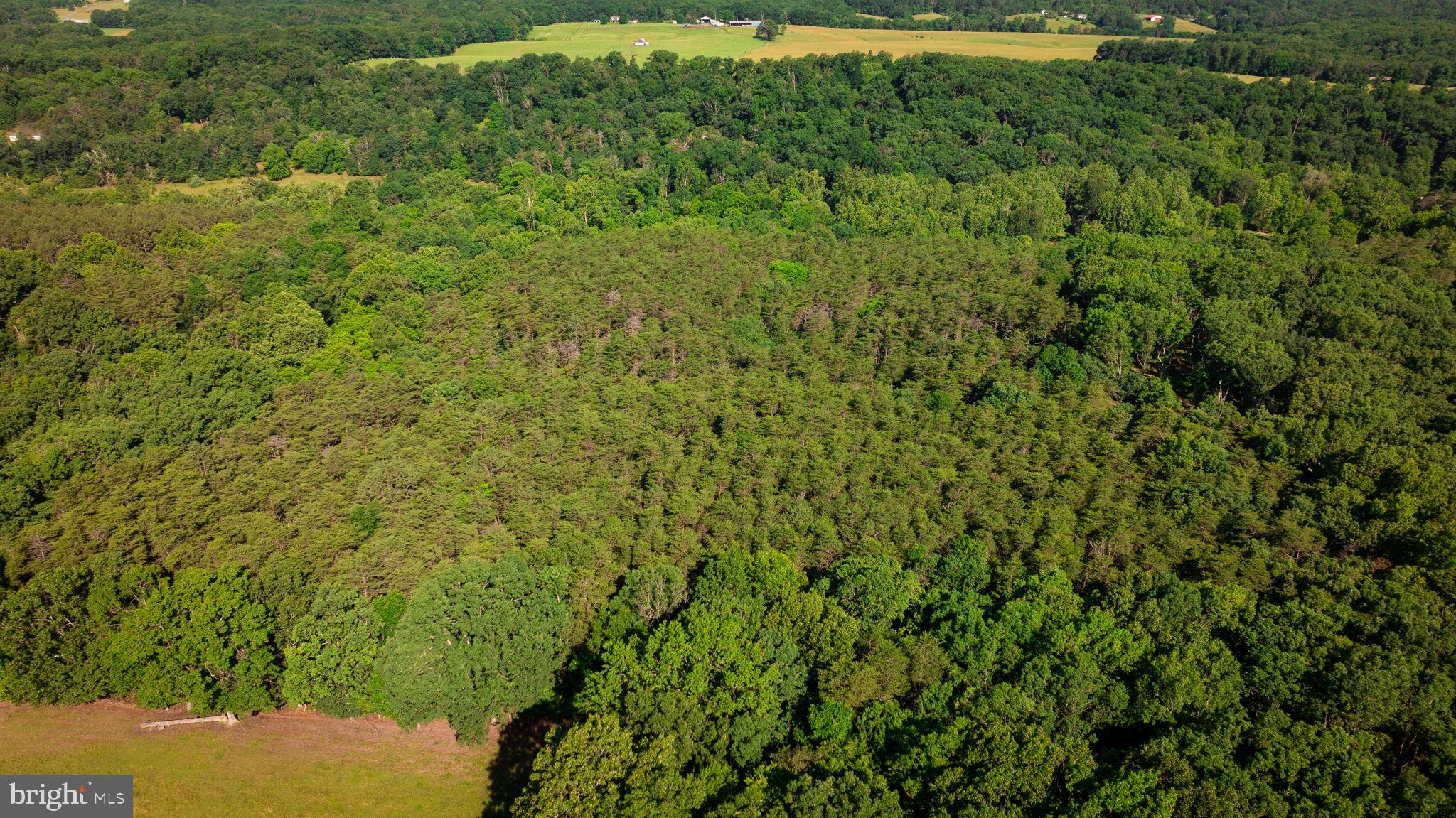 NONE AVAILABLE - Land