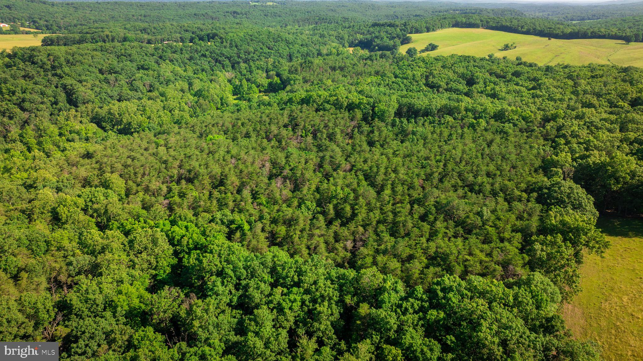 NONE AVAILABLE - Land