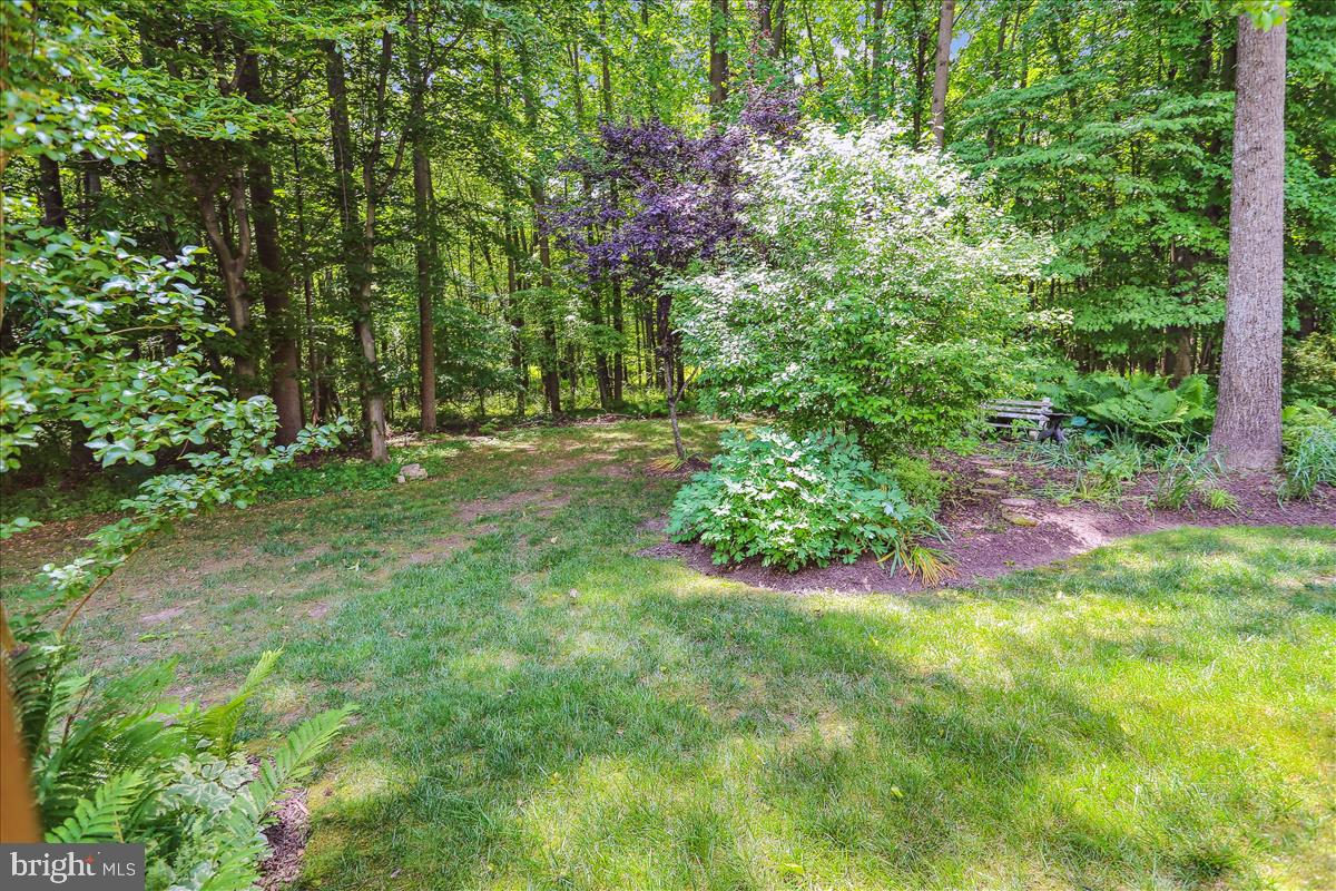 WATERFORD COMMON - Residential