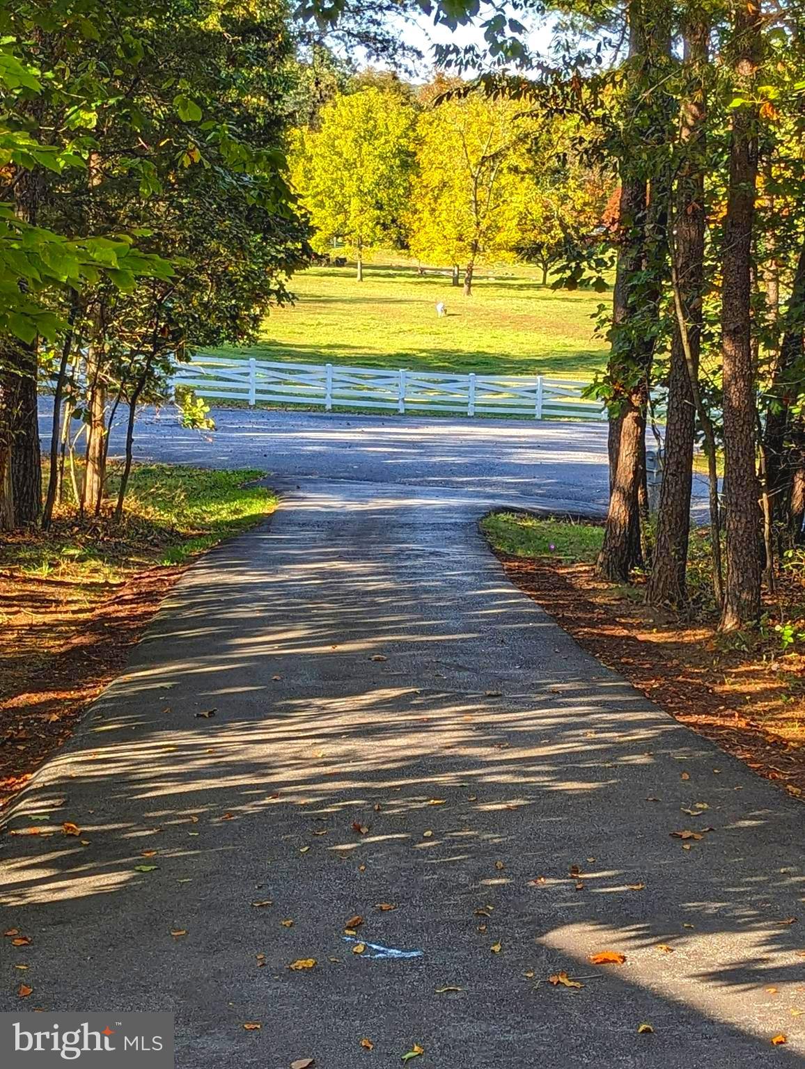 BIRCH CREEK - Residential