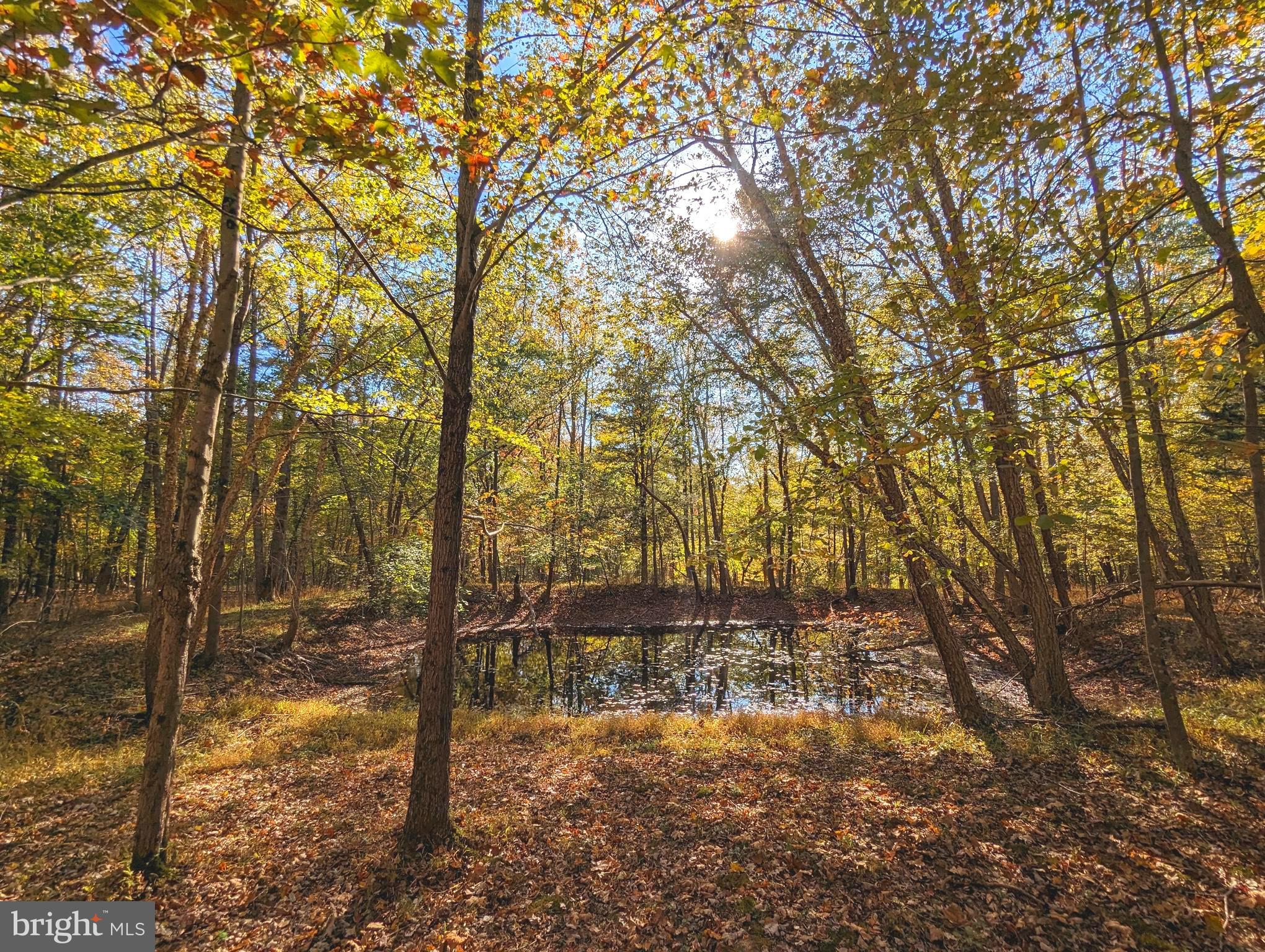 BIRCH CREEK - Residential