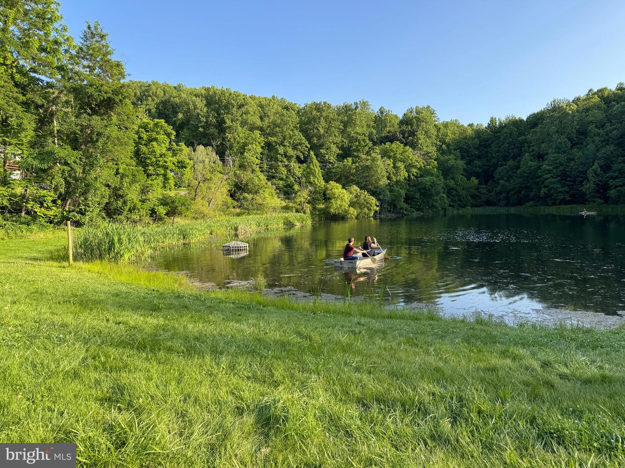 SHENANDOAH FARMS - Residential