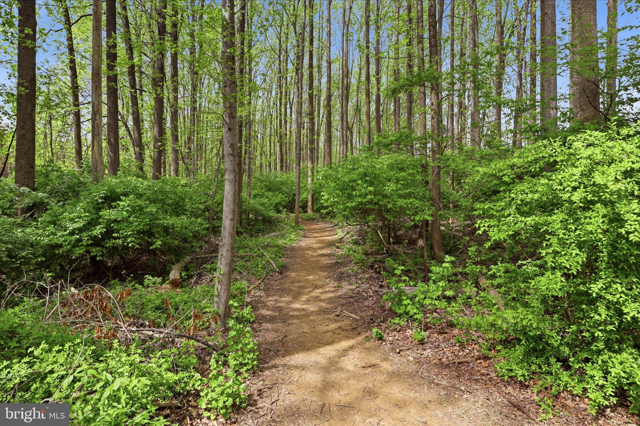 VIRGINIA CENTER - Residential