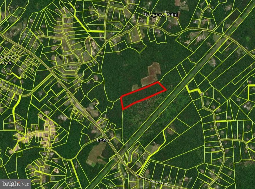 List Price is opening bid at online only auction. ATTENTION INVESTORS! YOU WON'T WANT TO MISS THIS! 17.458 Acres ( +/- 760,500 square feet ) of land located in Charles County, Maryland. Located just outside of Hughesville, and near both Waldorf, MD & La Plata, MD. Vacant lot of land. Online bidding will begin on March 25th, 2025 and end March 27th, 2025 at 11:50 AM.