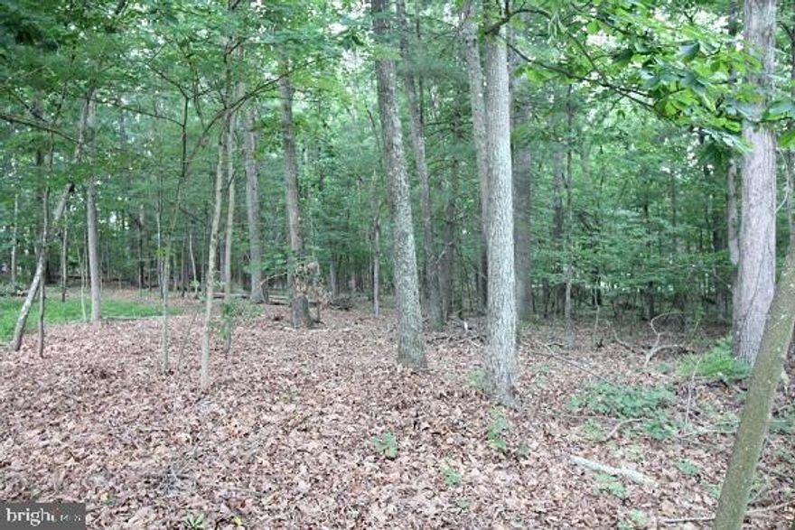WARDEN ACRES SUBDIVISION LOT 54: Prime building site! Public water, sewer, and electric available on this wooded 0.821 acres. Topo is level on this fully usable wooded home site; paved roads, fiber optic internet available, quiet neighborhood. Located within two miles of the quaint, tiny town of  Wardensville. Restaurants, country shopping, farmer’s market, coffee shop with bakery, library, fitness center, antiques, groceries and community park. Visit the recreational sites at George Washington National Forest, Trout Pond and Warden Lake, Kimsey's Run, Big Schloss and more. If you need a place to get away, this is it!
