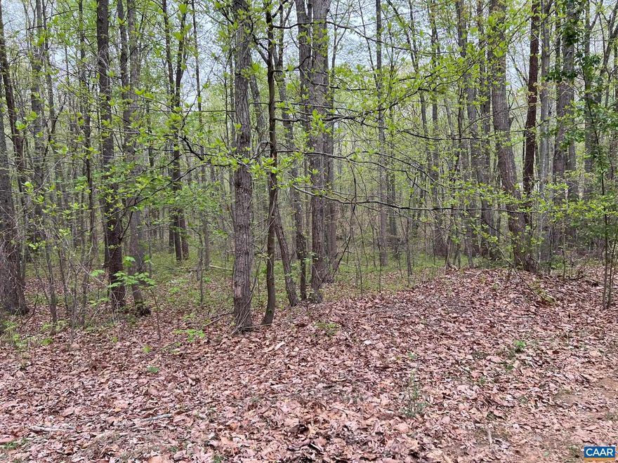 Priced to sell! Lovely wooded home site between Gordonsville & Trevilians.  Prime location with short drive to Lake Anna, Louisa, Gordonsville or Charlottesville.  Escape to the woods and build your dream home!  Enjoy low Louisa County real estate taxes! Lot is on the left.  Do no go to house at 132 Briar Patch Lane even though Louisa County GIS has this address for the lot. Section II Lot 12 on subdivision plat in document section.,wooded home site