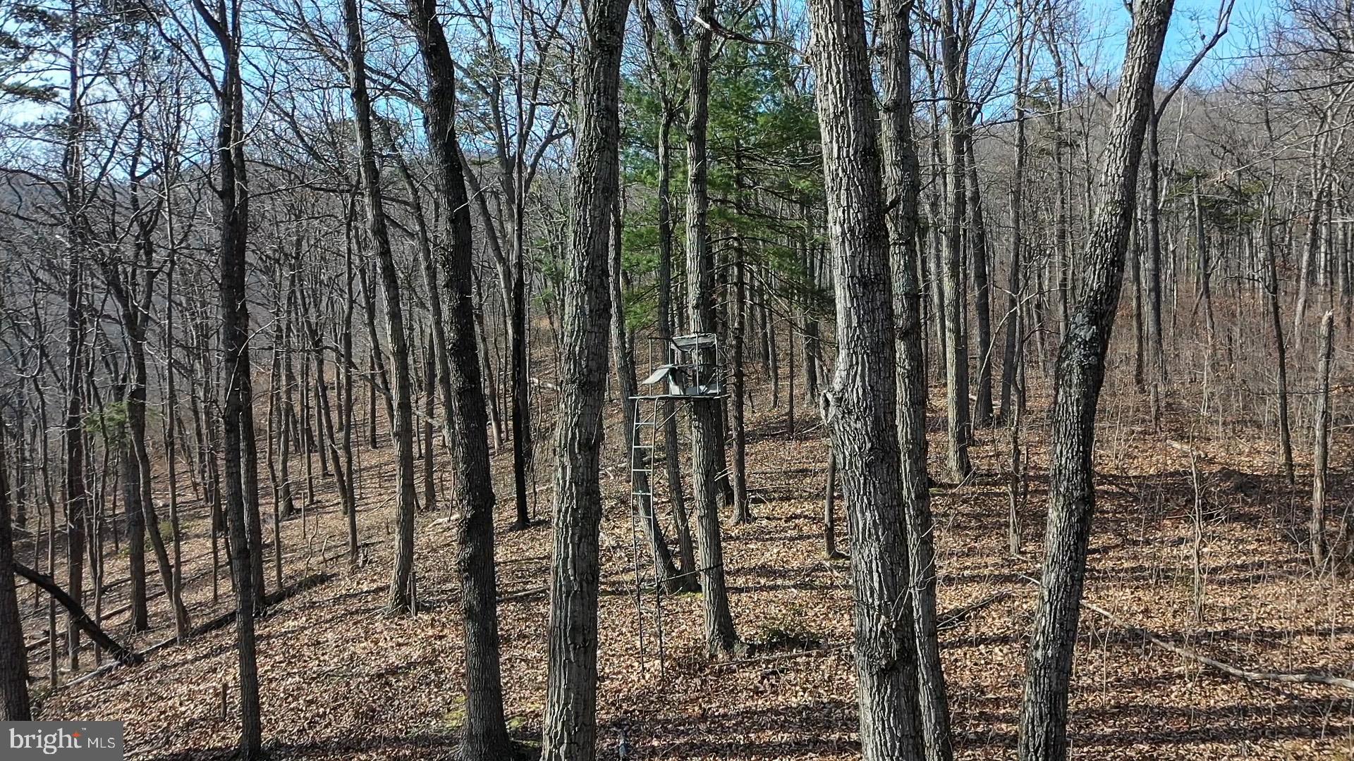 SHIPWRECK FARM - Residential