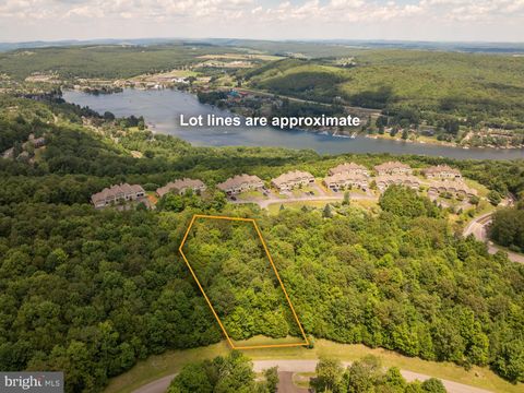 Vacant Land For Sale - 106 Snowhaven Lane<br/> MC HENRY, MD 21541