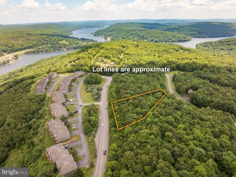 Vacant Land For Sale - 106 Snowhaven Lane<br/> MC HENRY, MD 21541