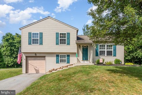 Photo of 111 Skipjack Way, BAINBRIDGE, PA 17502 (MLS # PALA2074496)
