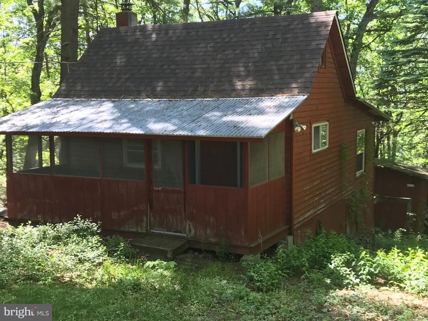 This could be the perfect Fixer-Upper for you! A first home or a vacation cabin, with room for expansion and with easy access on a state road. The home is a mountain cabin made for a family with a large "front room" with a kitchen and plenty of space for a large table and even some space to relax while cooking. Next is a large room with a connecting full bath. This could be a bedroom, living room or both. It could be divided into  two smaller bedrooms. The bath has a tub-shower and a stack-pack washer and dryer.  Over the kitchen is an open ceiling with a space for mattresses where the kids can have a blast! The "loft" is accessed by a built in ladder on the wall. You really need to see this property to see all the possibilities. Maybe it's a hunter's cabin, maybe it's a first home, maybe it's a quiet vacation retreat, maybe you should come see the possibilities! BE SURE TO LOOK AT THE VIRTUAL TOUR LINK NEAR THE TOP OF THE PAGE!