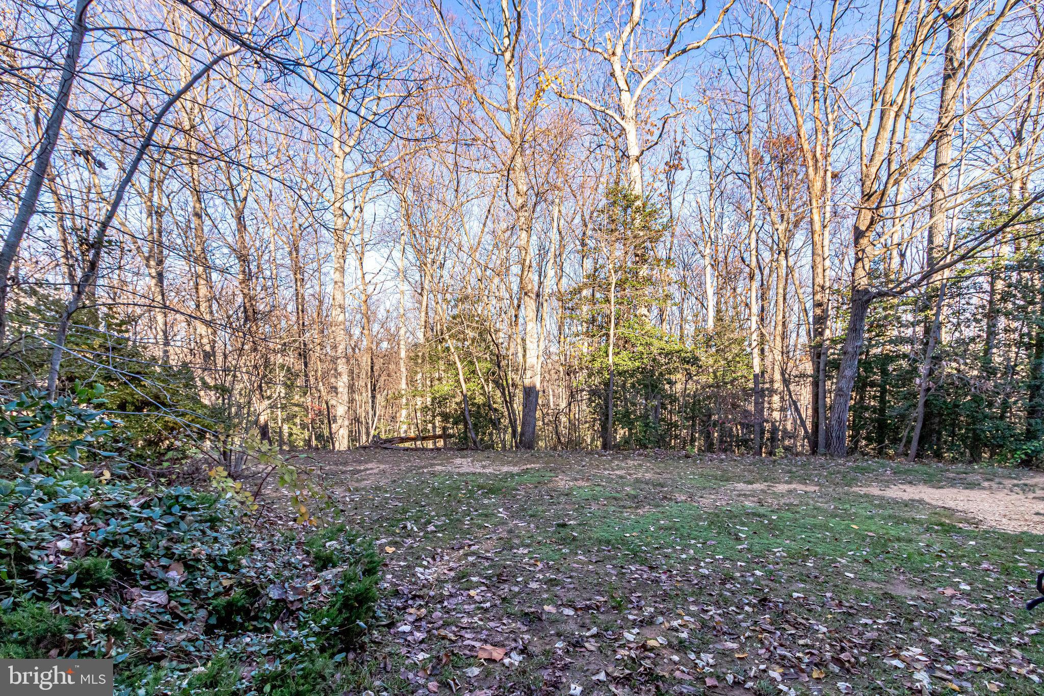 KINGSTOWNE - Residential Lease