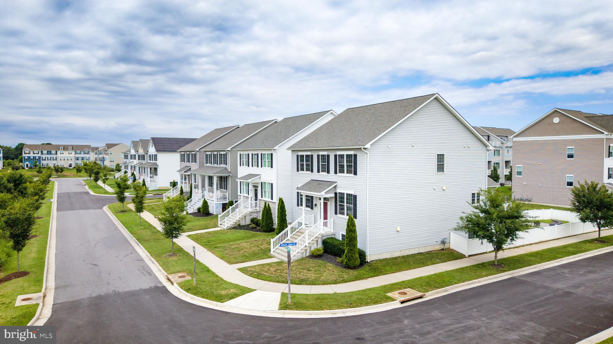 247 BREEDING BOULEVARD