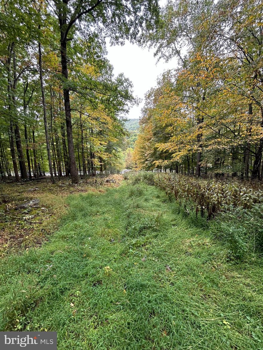 Extraordinary Opportunity to purchase 140 acres in The Lost River Valley. Bordered on the Southeast. by the vast George Washington National Forest and on the West by the Upper Cove Run Lake.
This offering has unbounded recreational Opportunities!
Approximately five years ago a road (northeast to the southwest) was pushed in and goes the length of the property.  It does stop at the southern boundary.   See Agent Private for further information and additional plat and gate information.