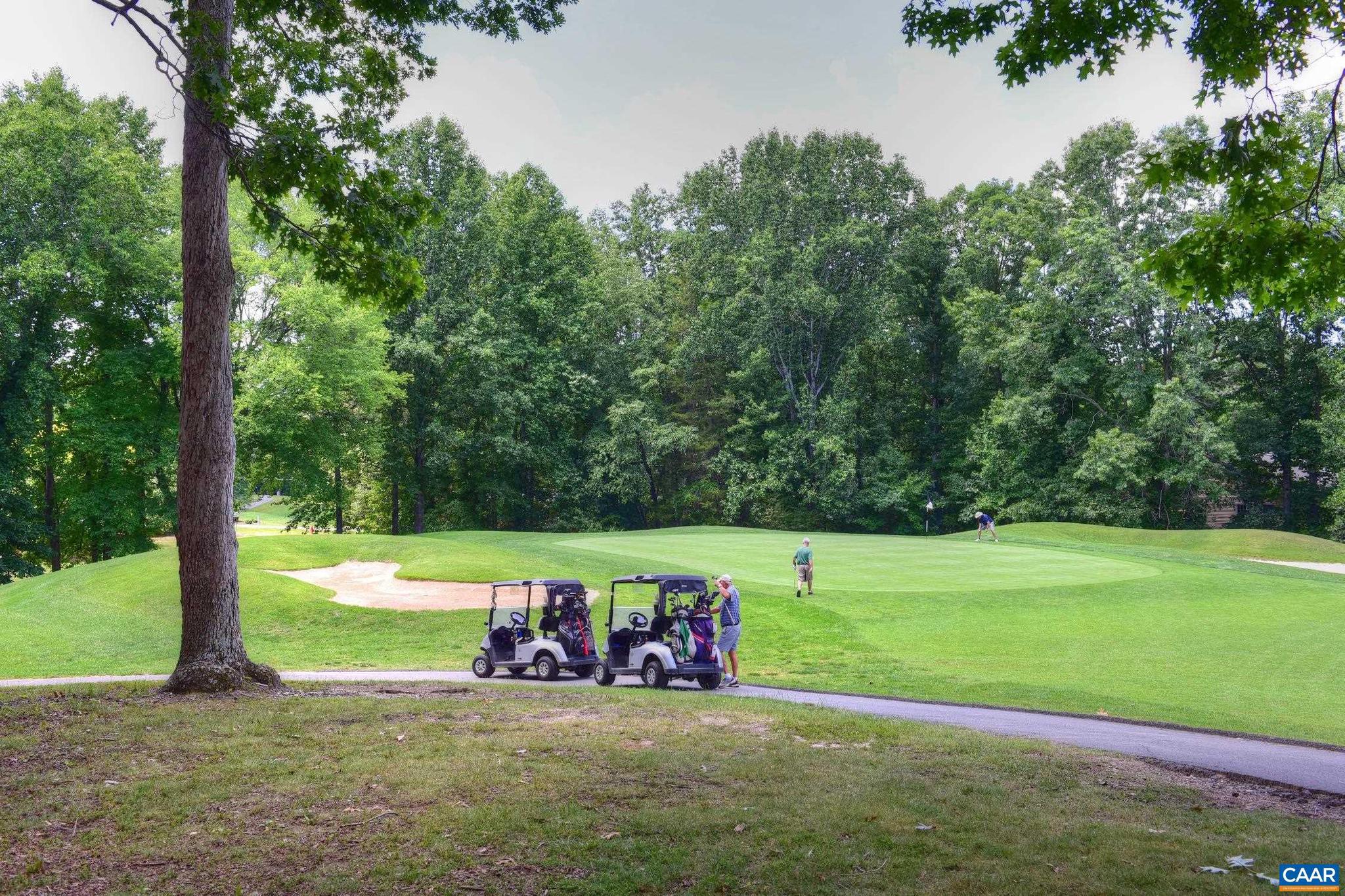 LAKE MONTICELLO - Residential