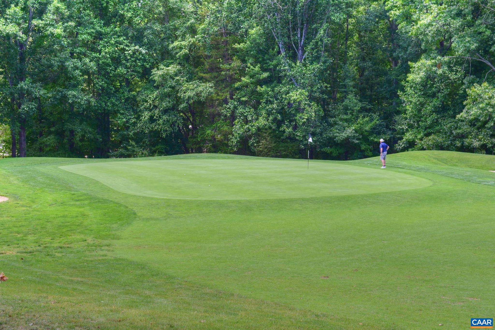 LAKE MONTICELLO - Residential