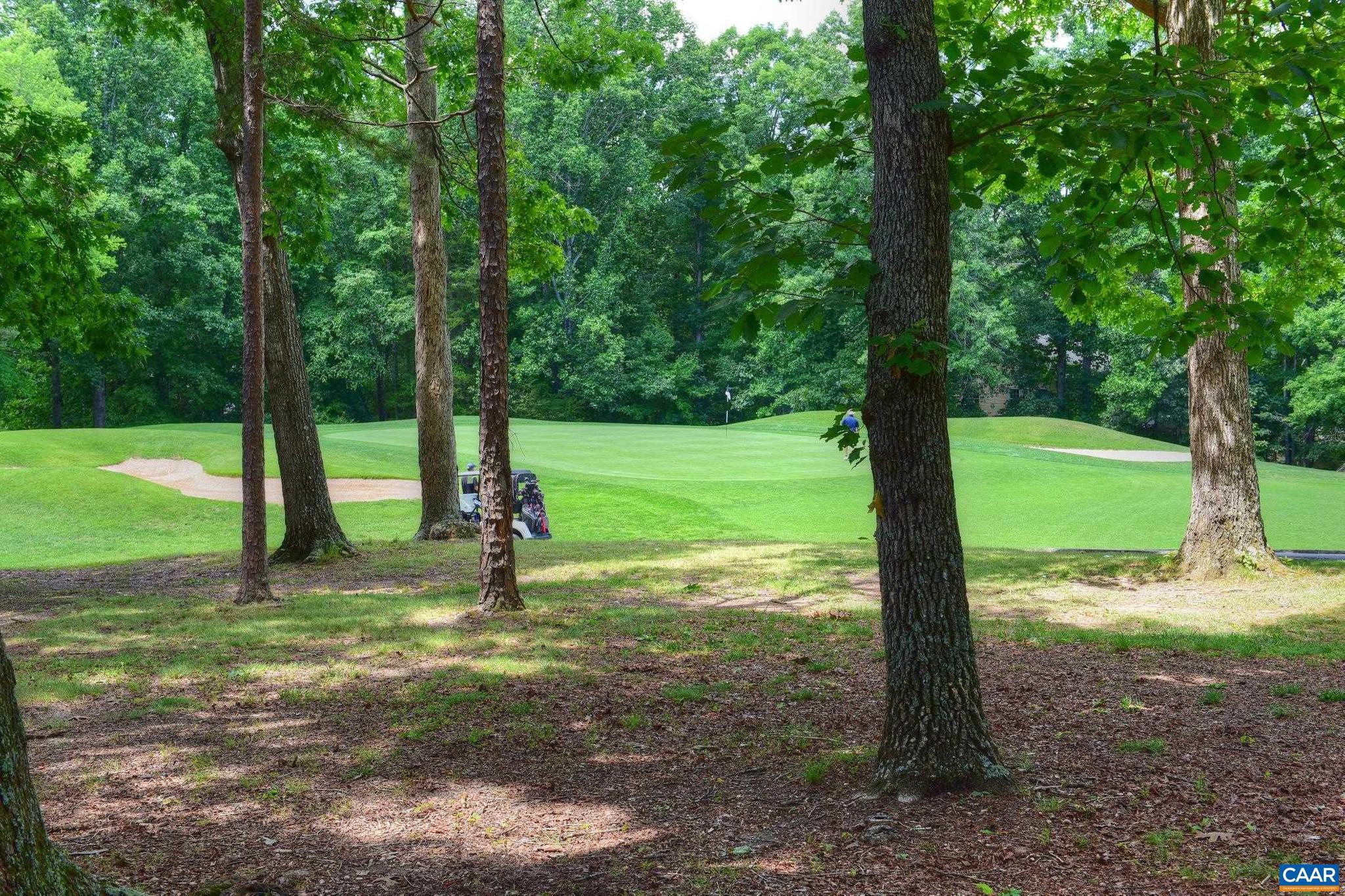 LAKE MONTICELLO - Residential