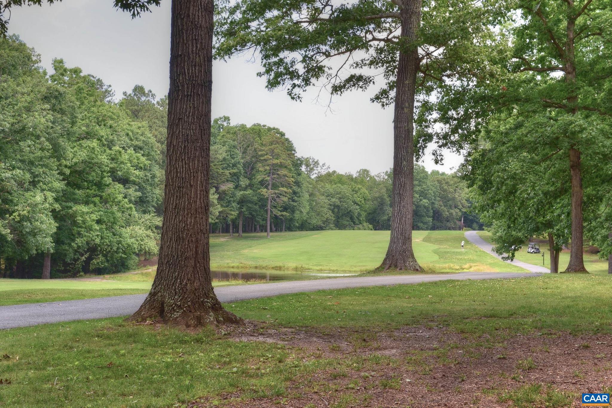 LAKE MONTICELLO - Residential