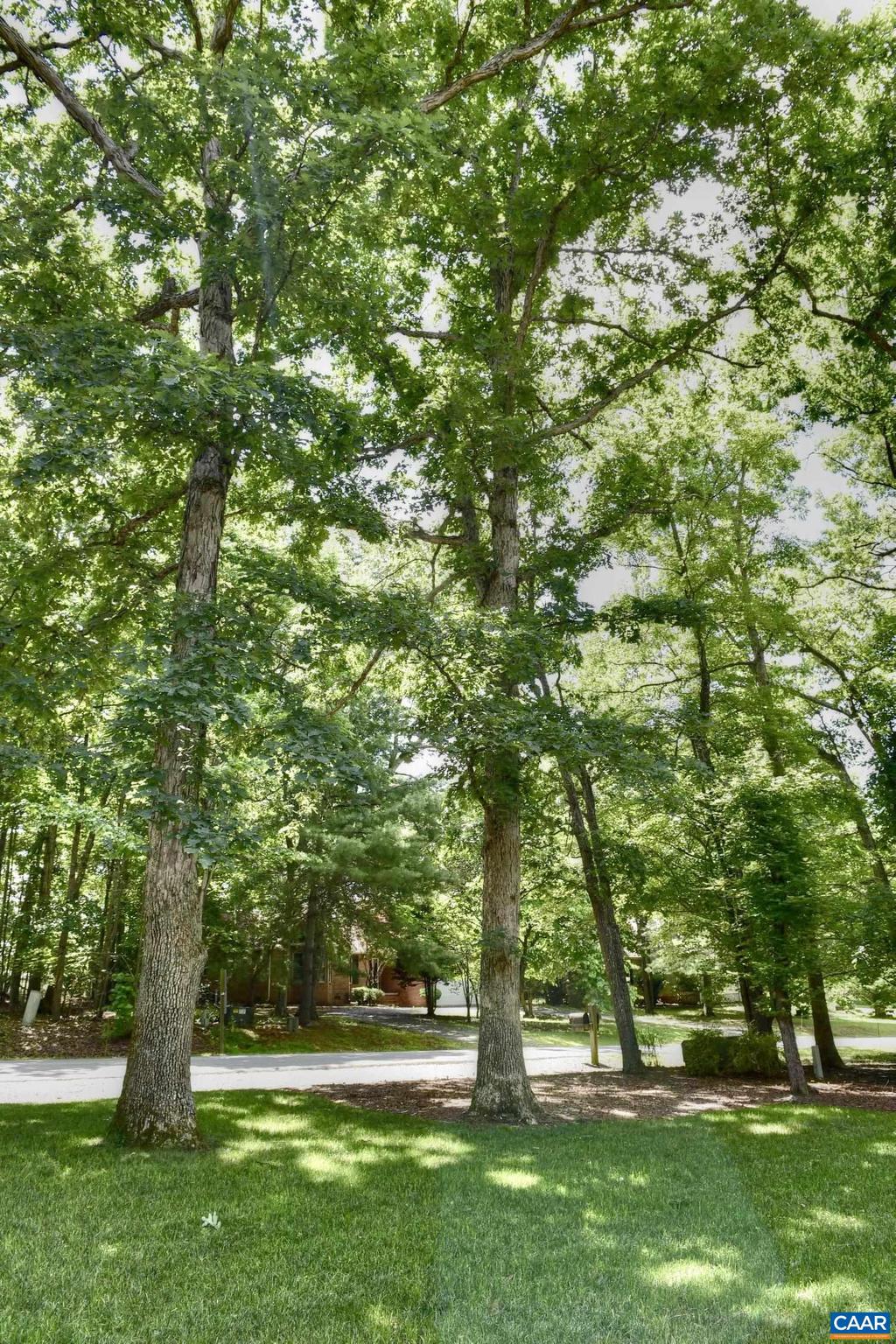 LAKE MONTICELLO - Residential