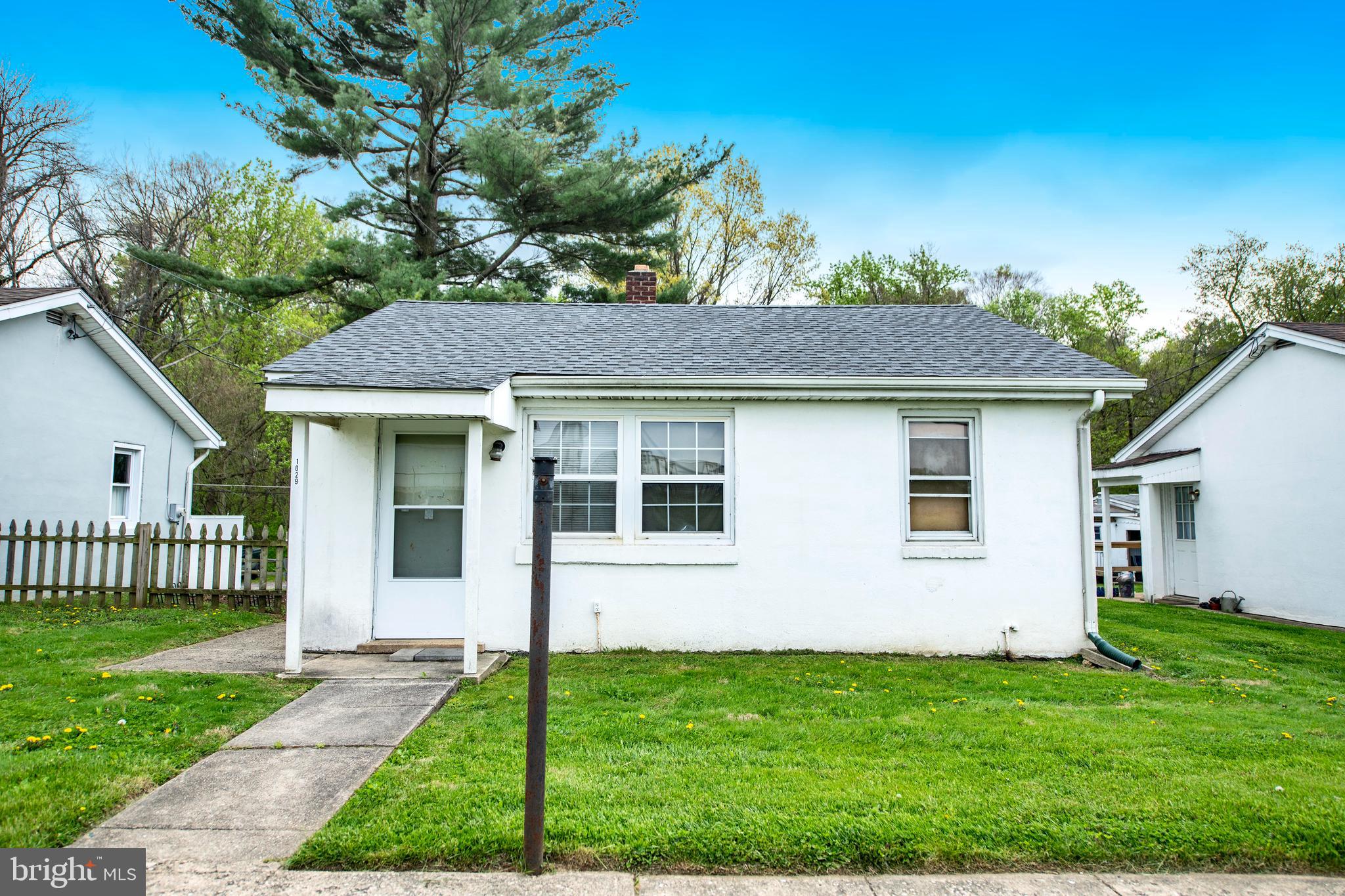 Main image without alt text