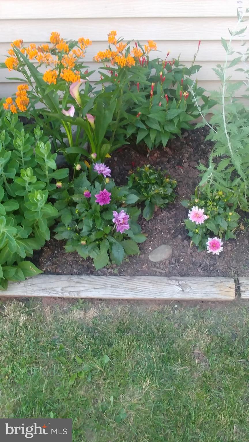 WALNUT MEADOWS - Residential