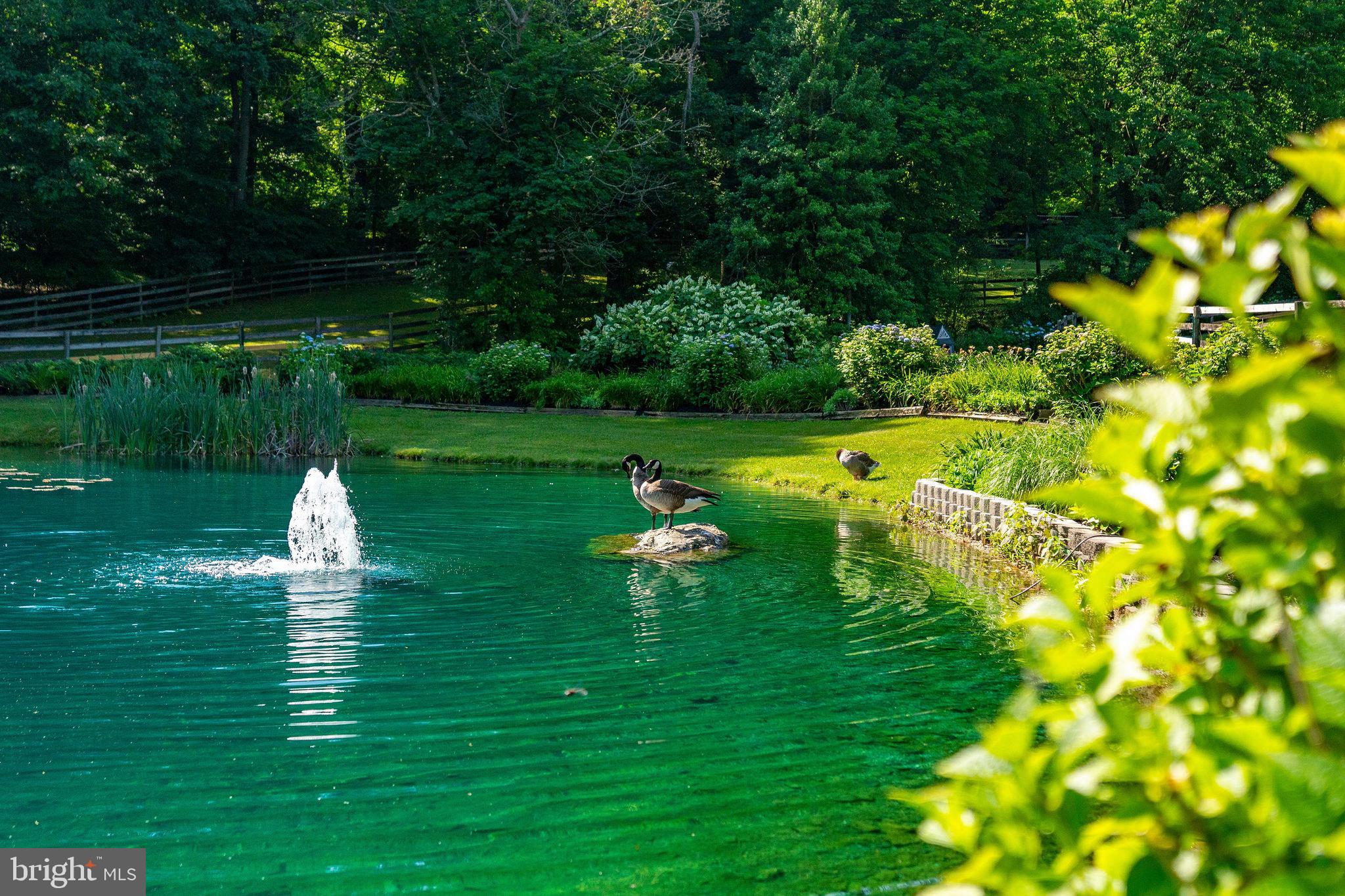 HELLAM - Residential