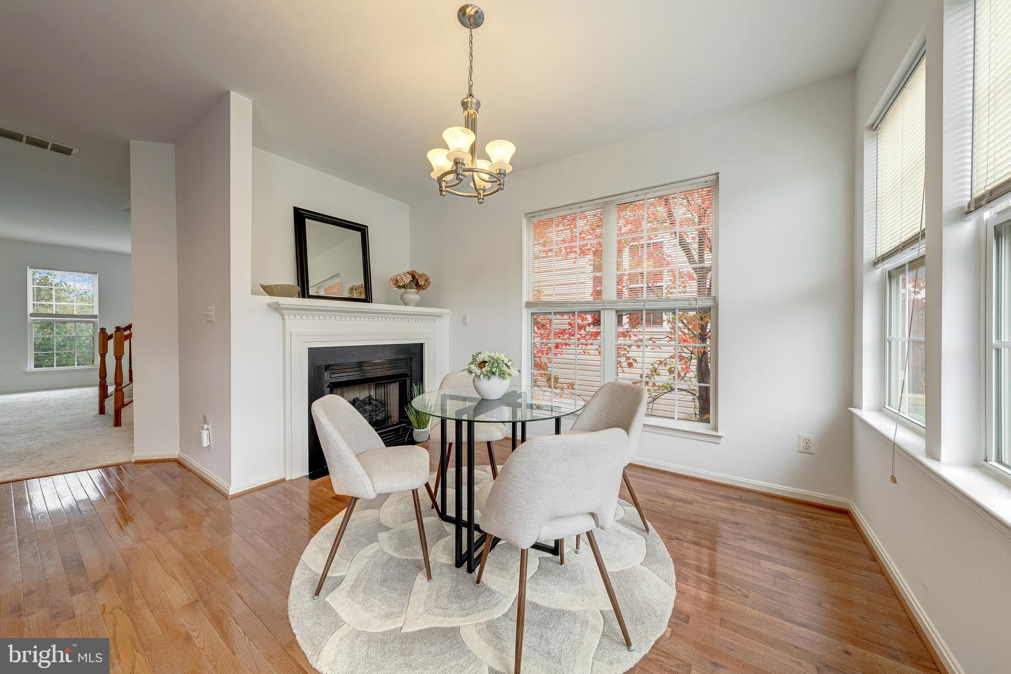 ASHBURN VILLAGE - Residential