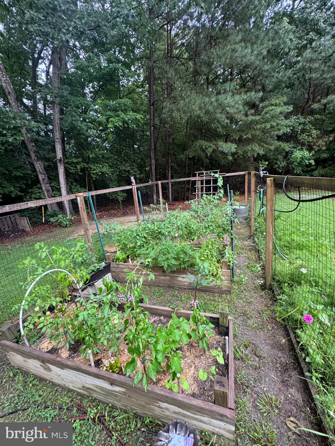 48836 PARK PINES DRIVE