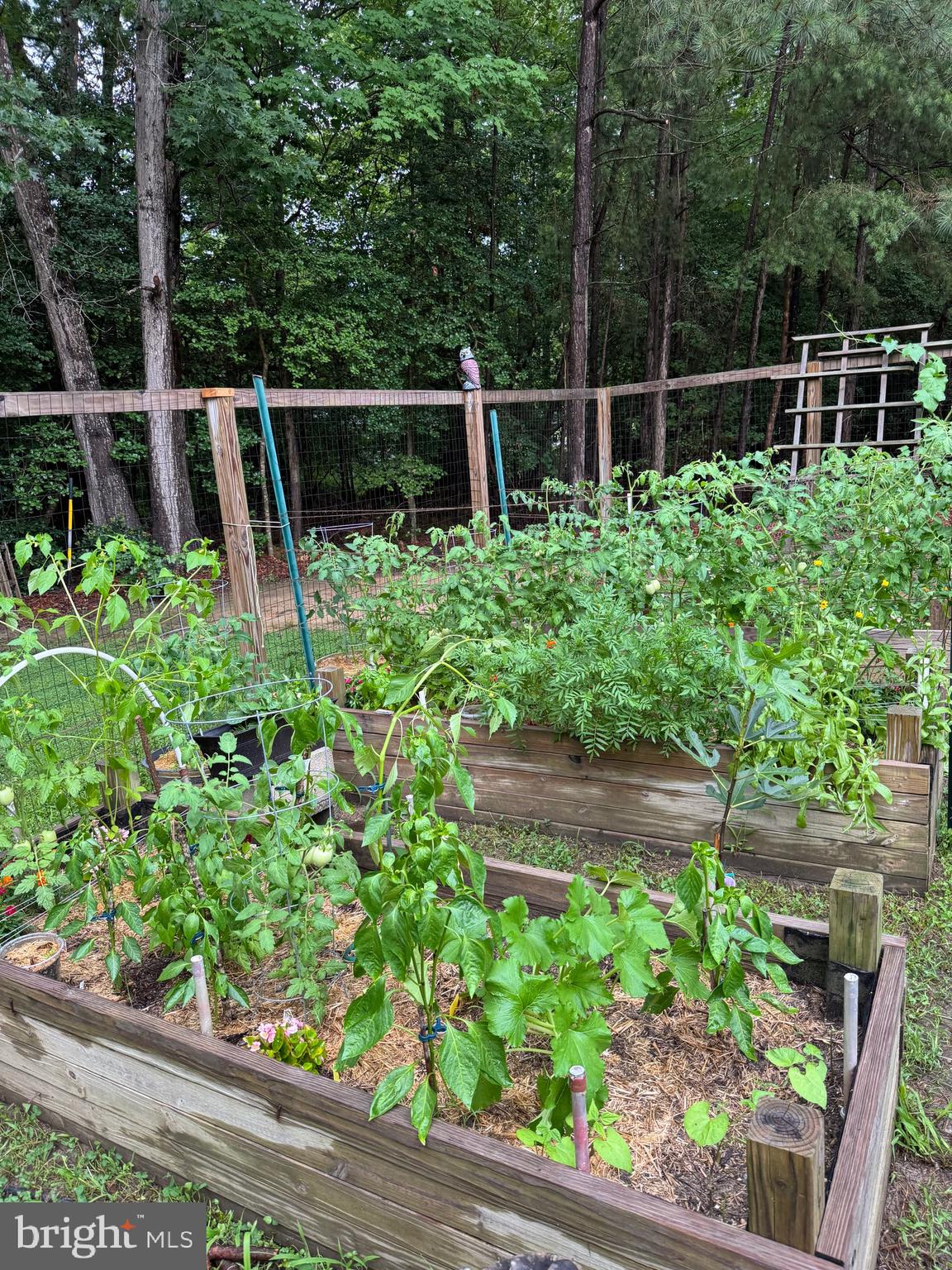 48836 PARK PINES DRIVE