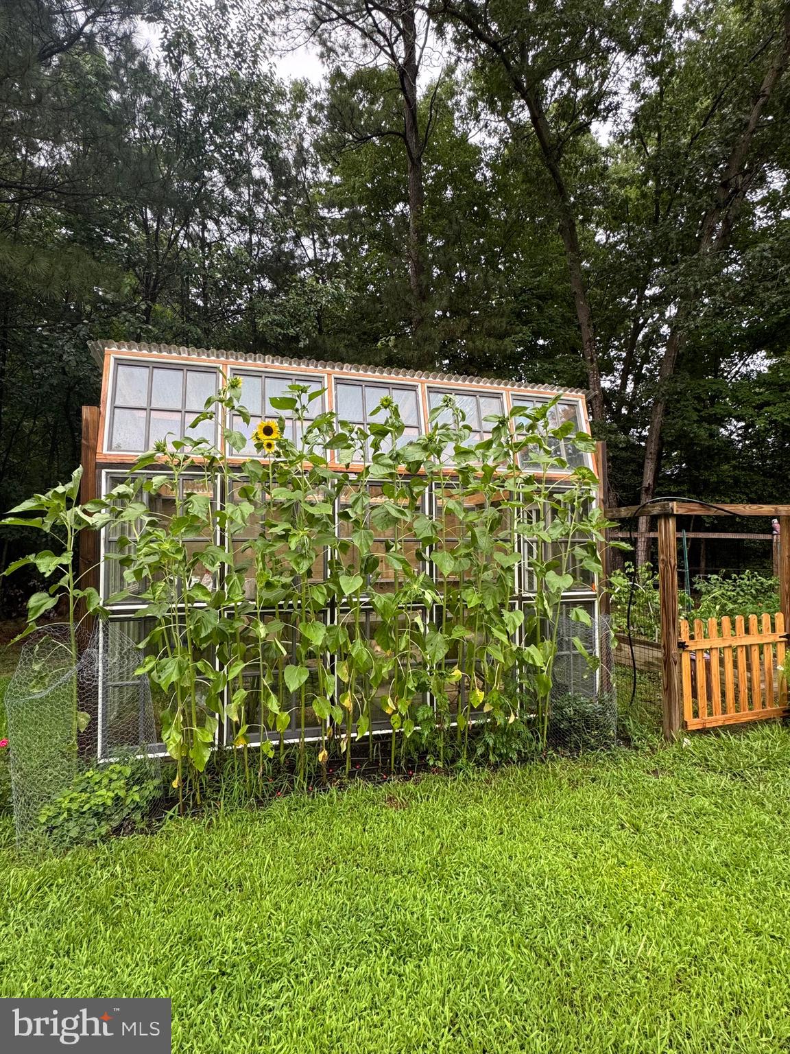 48836 PARK PINES DRIVE