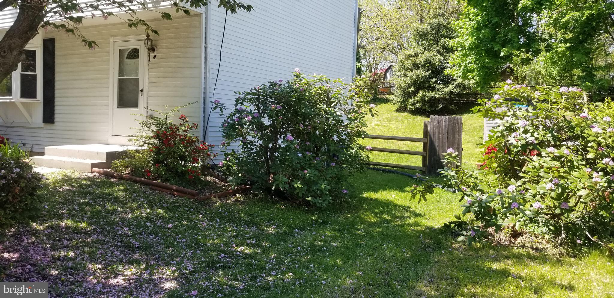 HAMPSTEAD VALLEY - Residential Lease