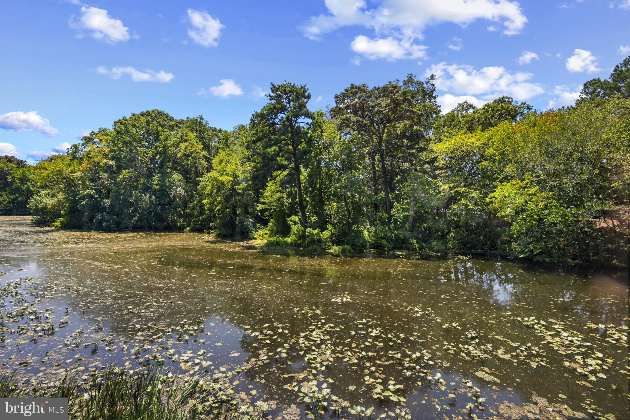 CANAL WOODS CM - Residential